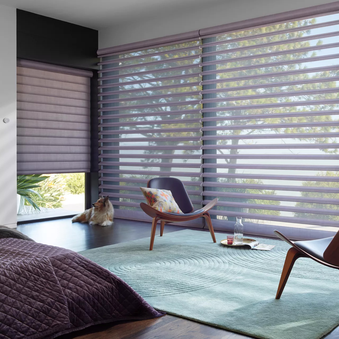 Hunter Douglas Pirouette